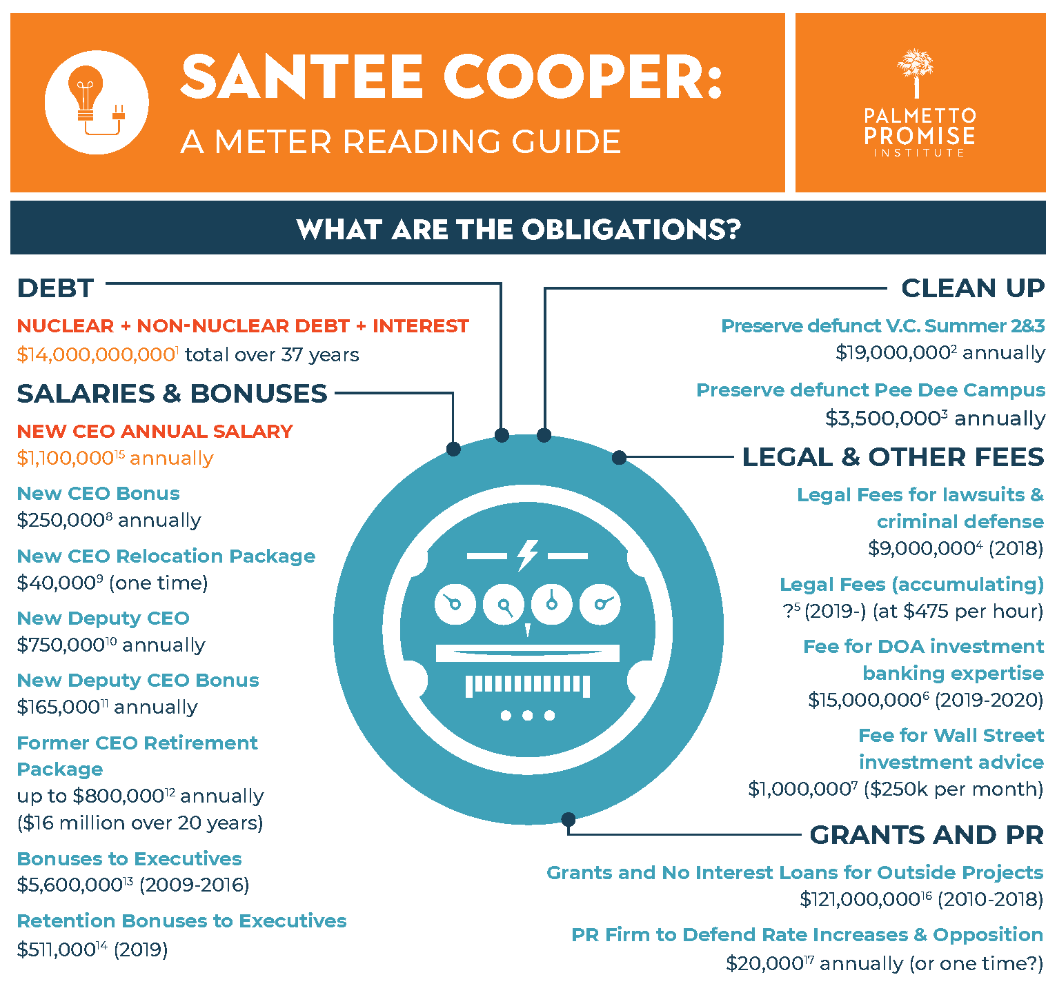Santee Cooper: A meter reading guide